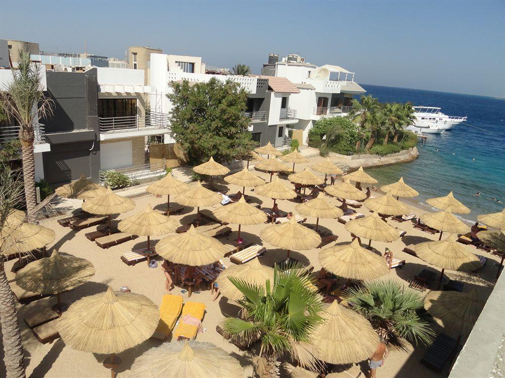 Premium Seagull Beach Resort Hurghada Exterior foto